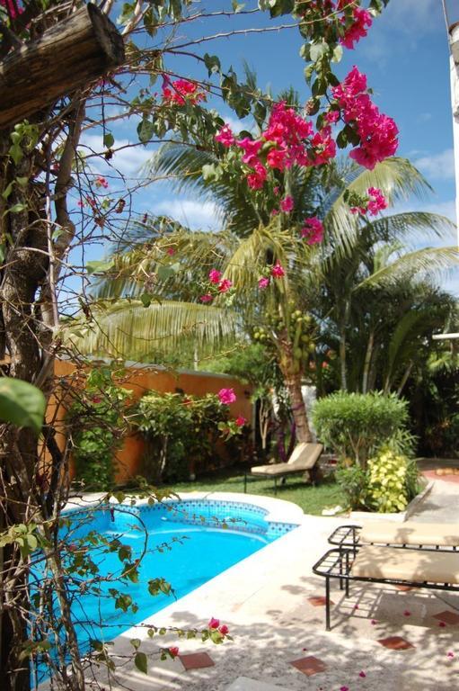 Beachouse Dive Hostel Cozumel Exterior photo