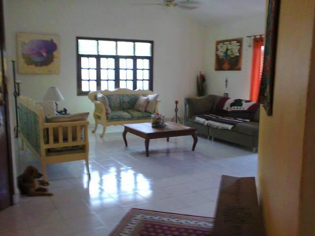 Beachouse Dive Hostel Cozumel Exterior photo