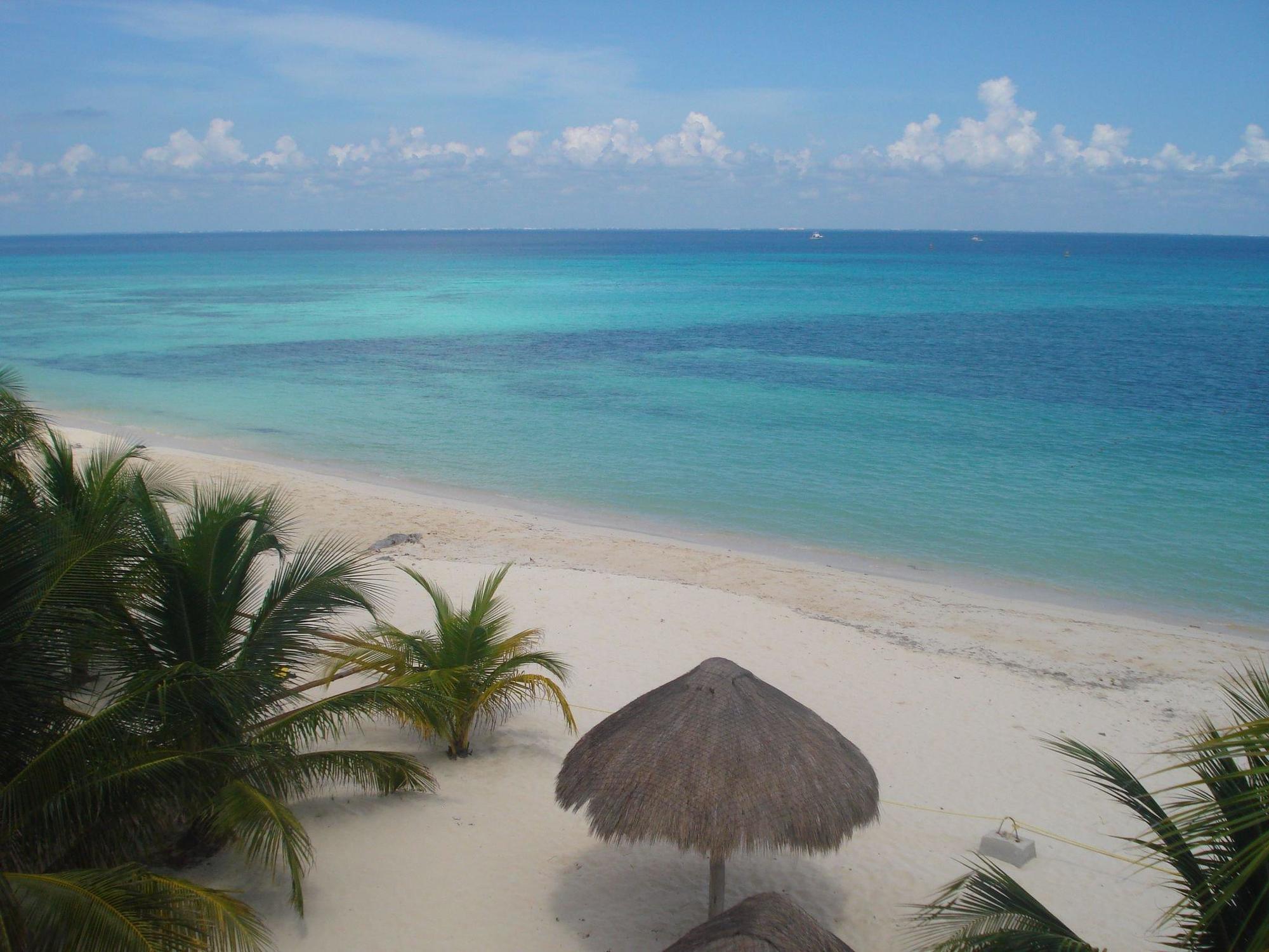 Beachouse Dive Hostel Cozumel Facilities photo
