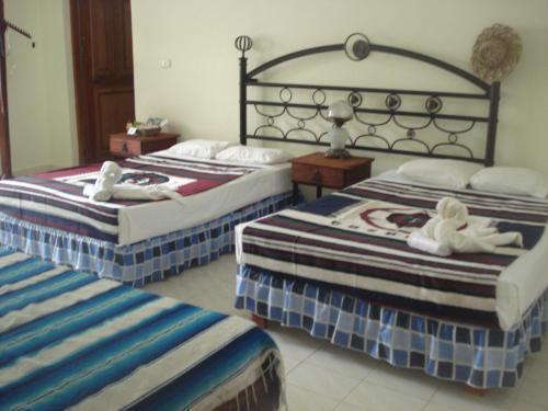 Beachouse Dive Hostel Cozumel Room photo